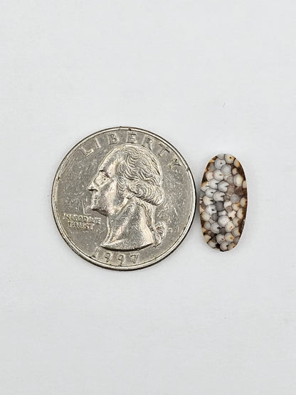 Snake skin agate cabochon