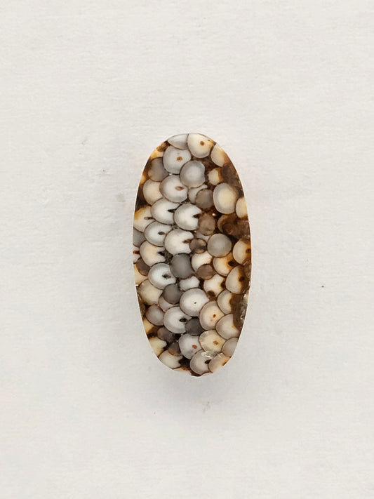 Snake skin agate cabochon