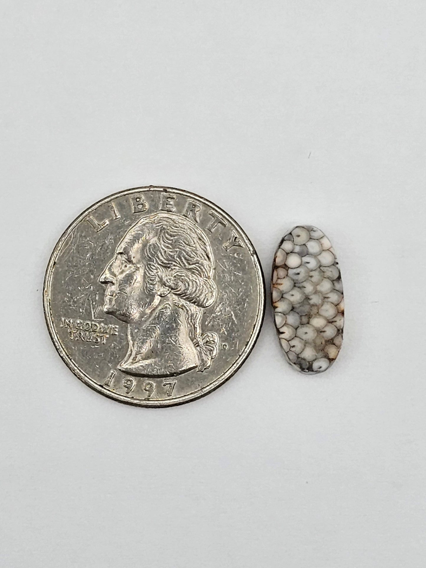 Snake skin agate cabochon