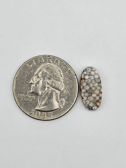 Snake skin agate cabochon