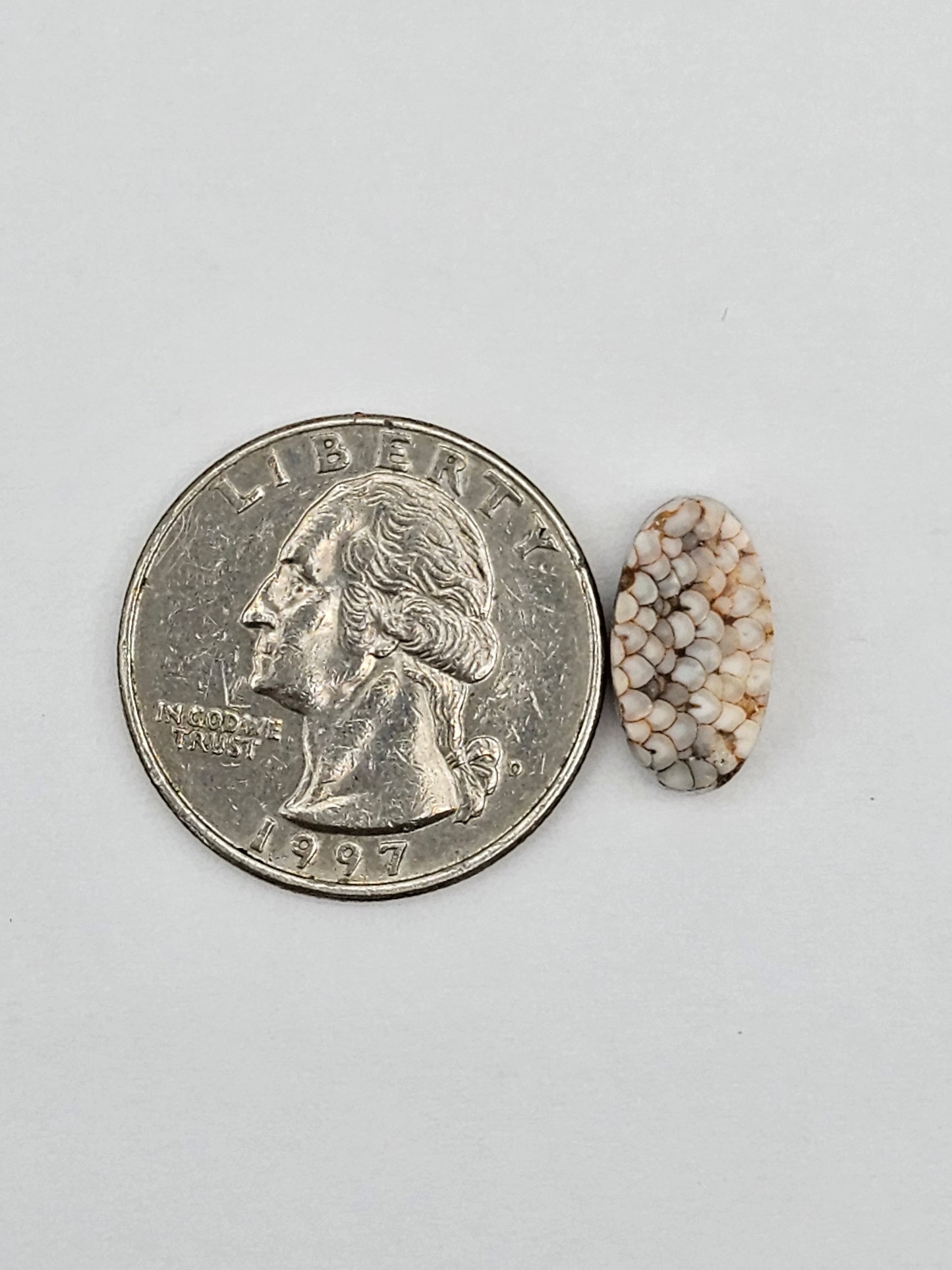 Snake skin agate cabochon