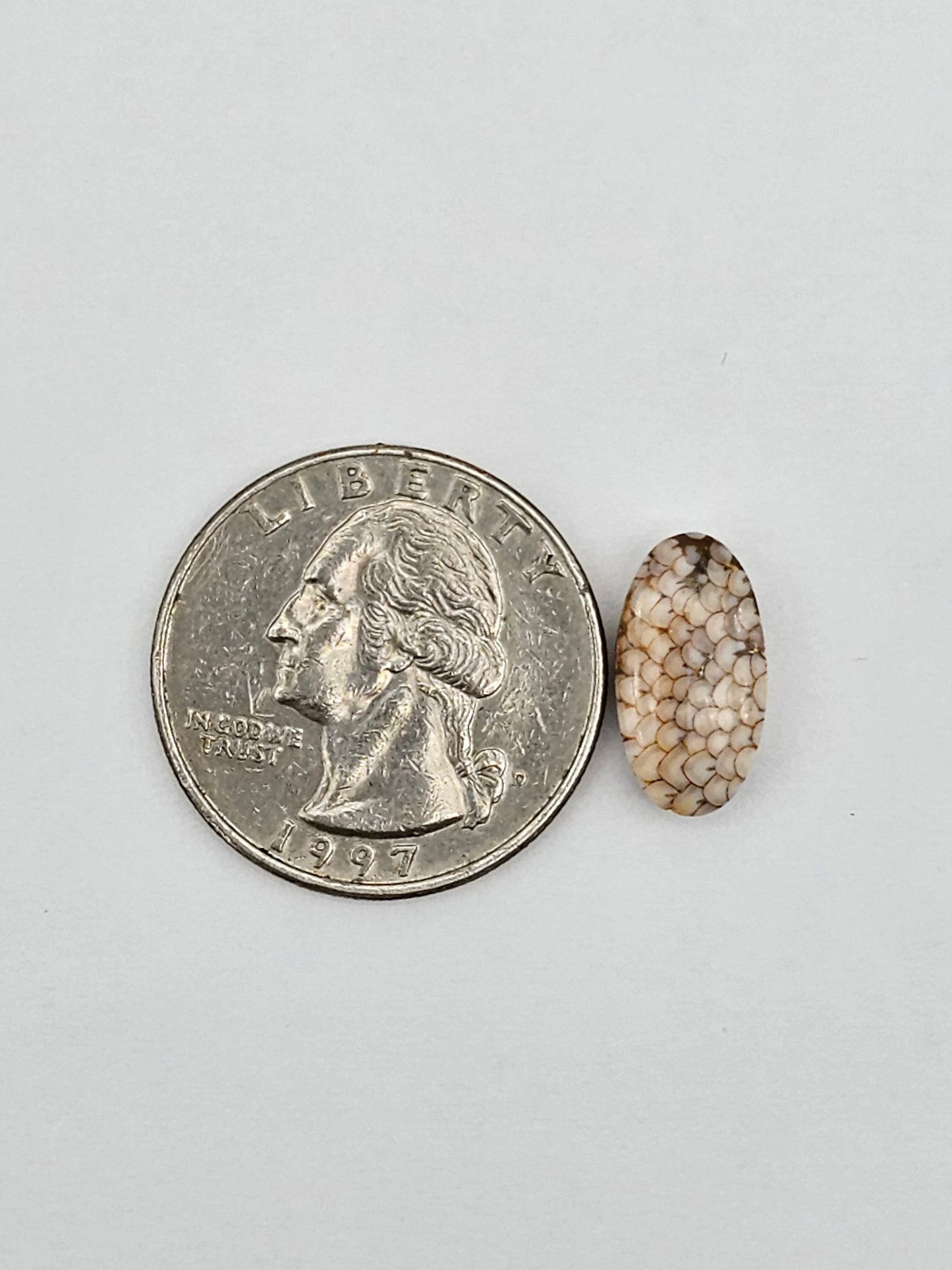 Snake skin agate cabochon