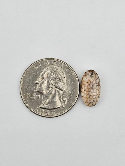Snake skin agate cabochon