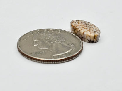 Snake skin agate cabochon