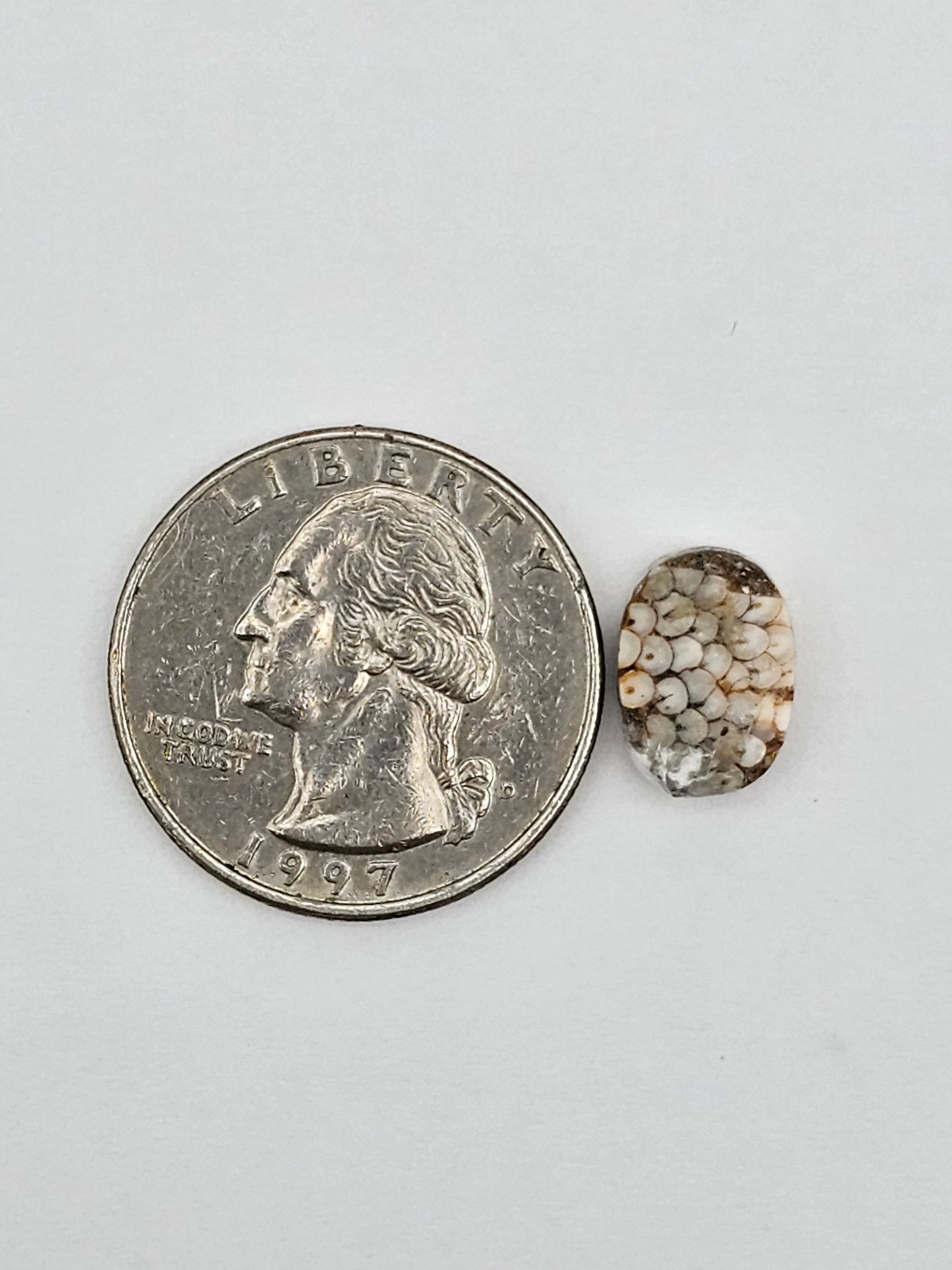 Snake skin agate cabochon
