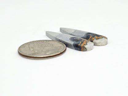 Maligano Jasper Cabochon Pair