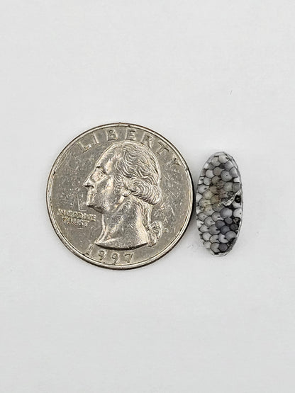 Snake skin agate cabochon