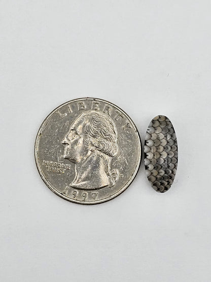 Snake skin agate cabochon