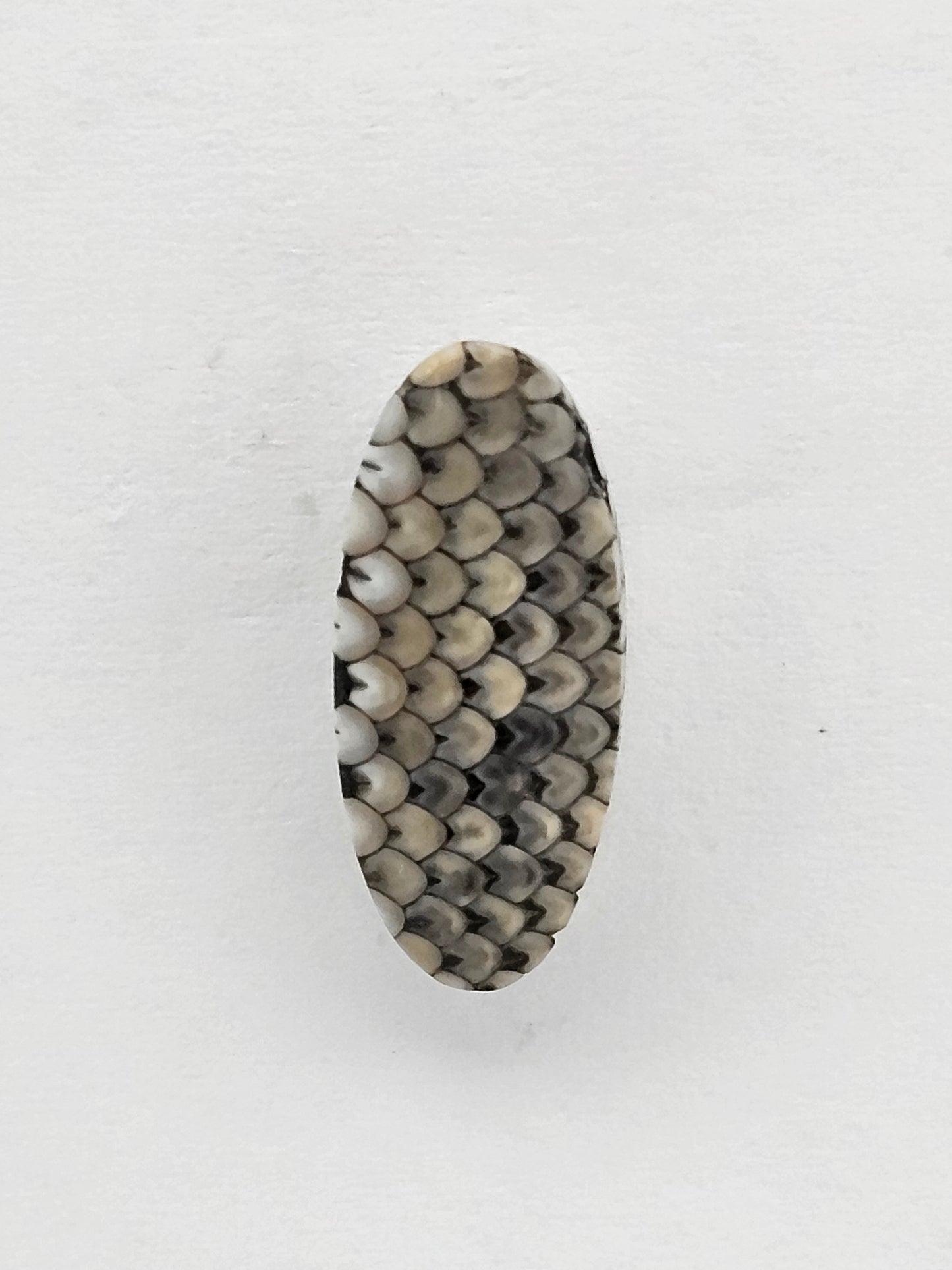 Snake skin agate cabochon