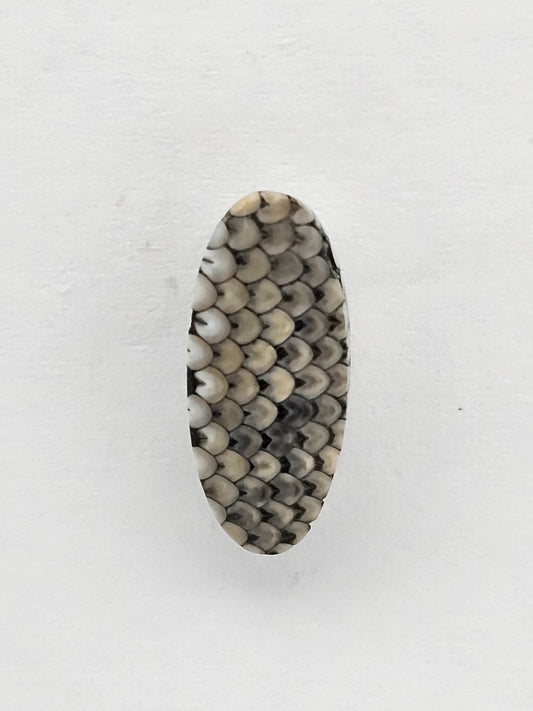 Snake skin agate cabochon