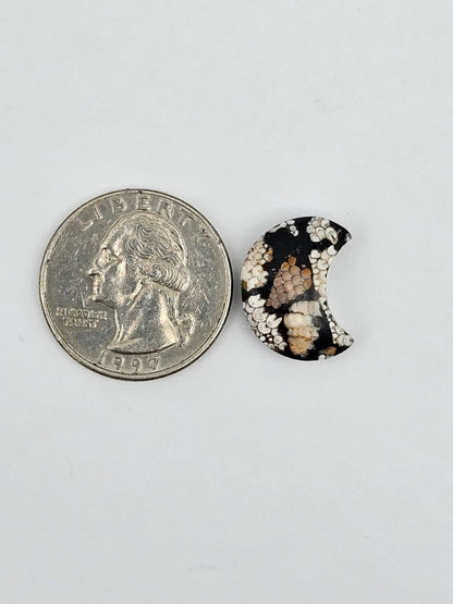 Snake skin agate moon cabochon