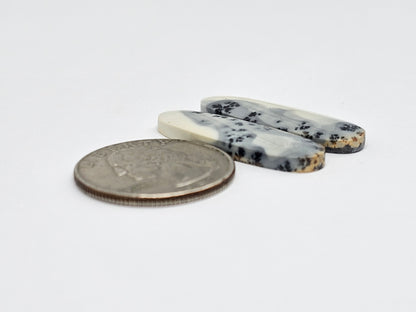 Maligano Jasper Cabochon Pair