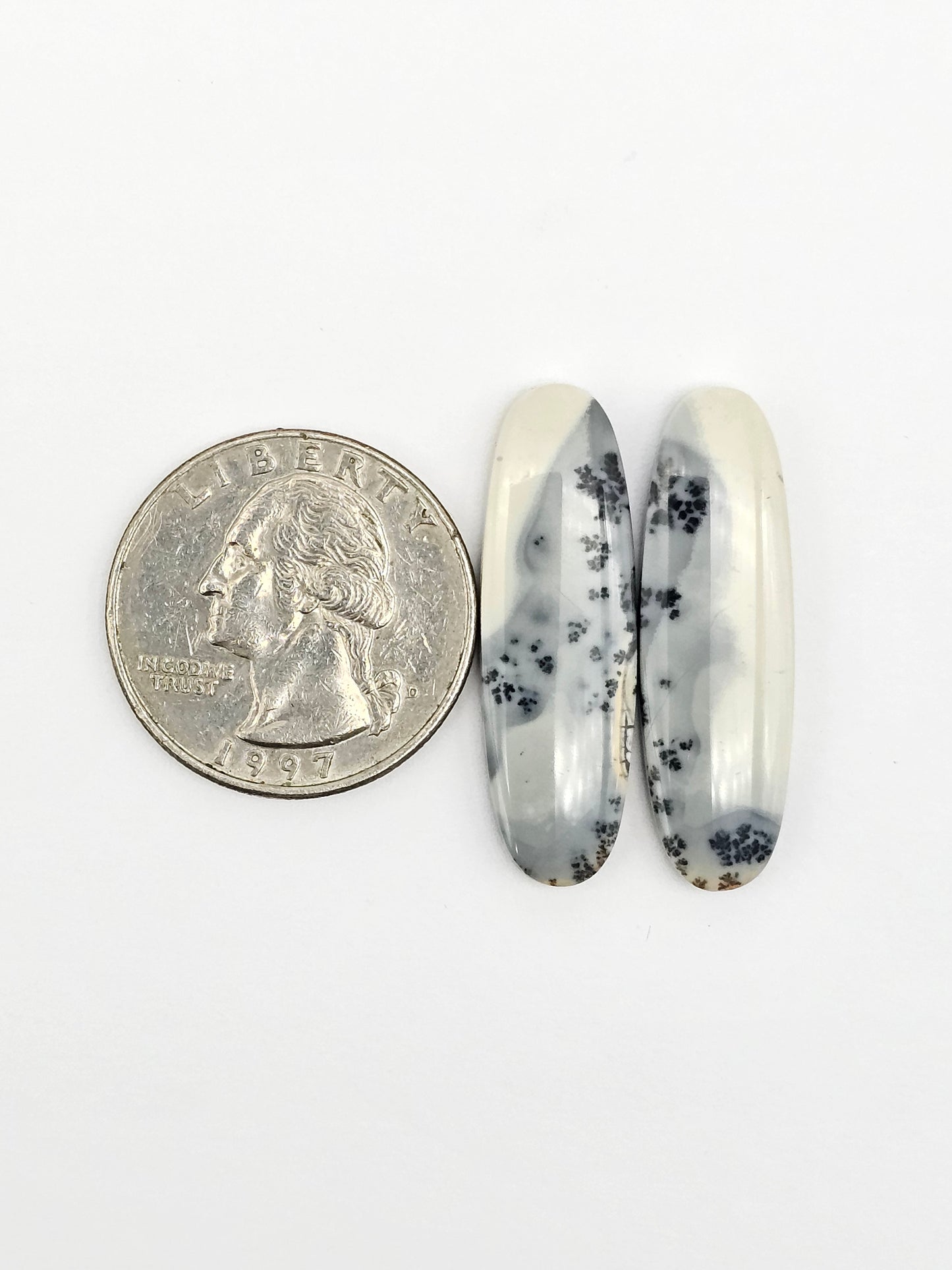 Maligano Jasper Cabochon Pair