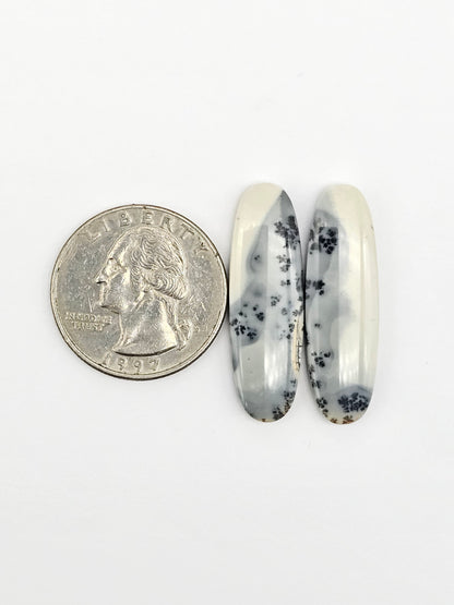 Maligano Jasper Cabochon Pair