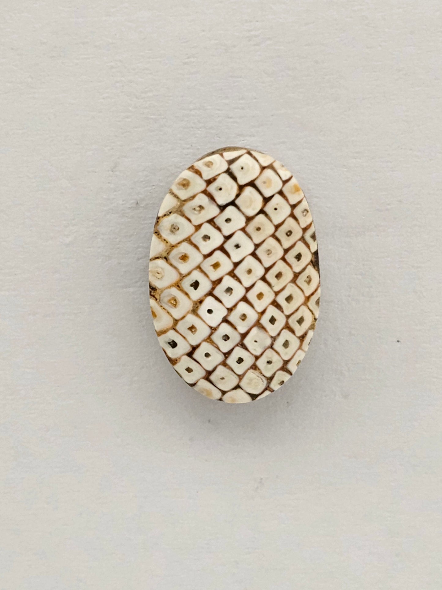 Snake skin agate cabochon