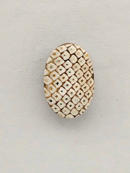 Snake skin agate cabochon