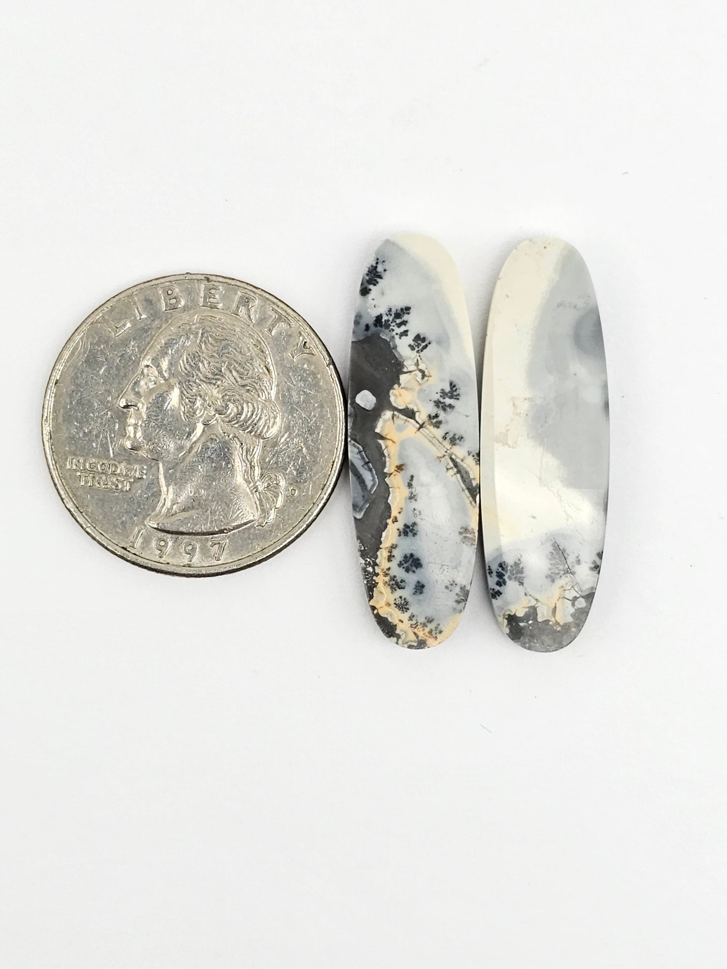 Maligano Jasper Cabochon Pair