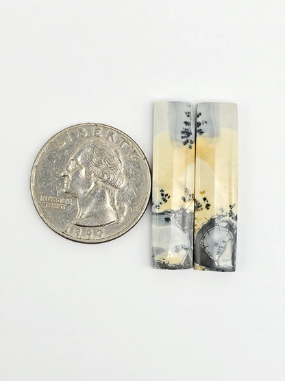Maligano Jasper Cabochon Pair