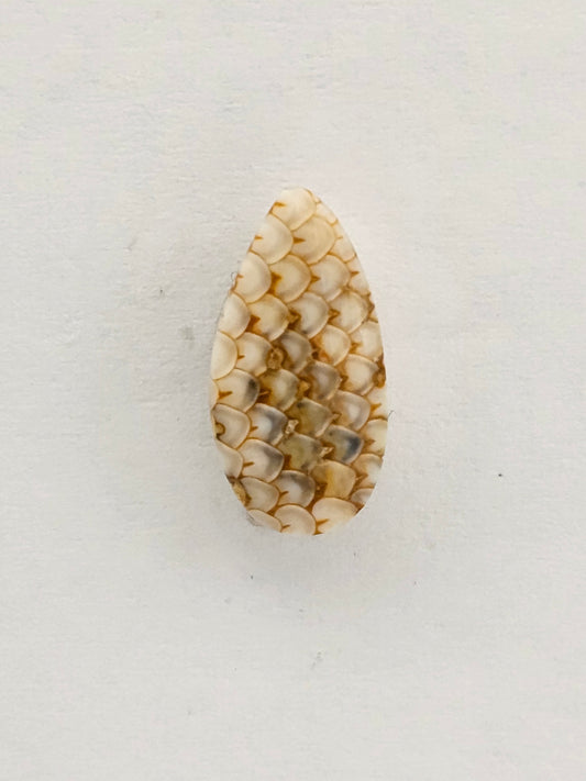 Snake skin agate cabochon