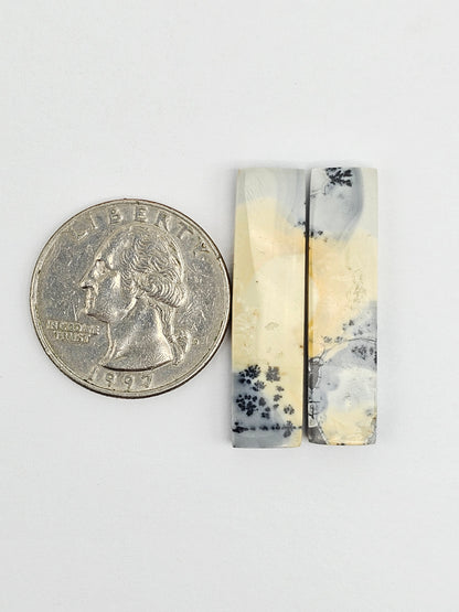 Maligano Jasper Cabochon Pair