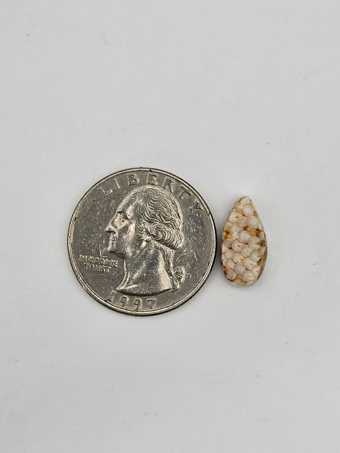 Snake skin agate cabochon