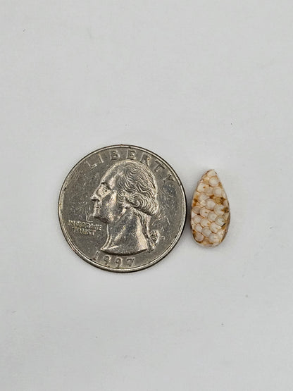 Snake skin agate cabochon