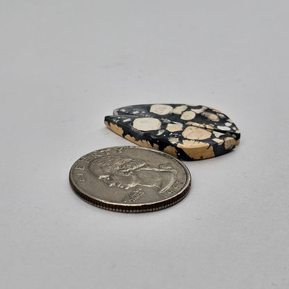 Maligano Jasper cabochon pair