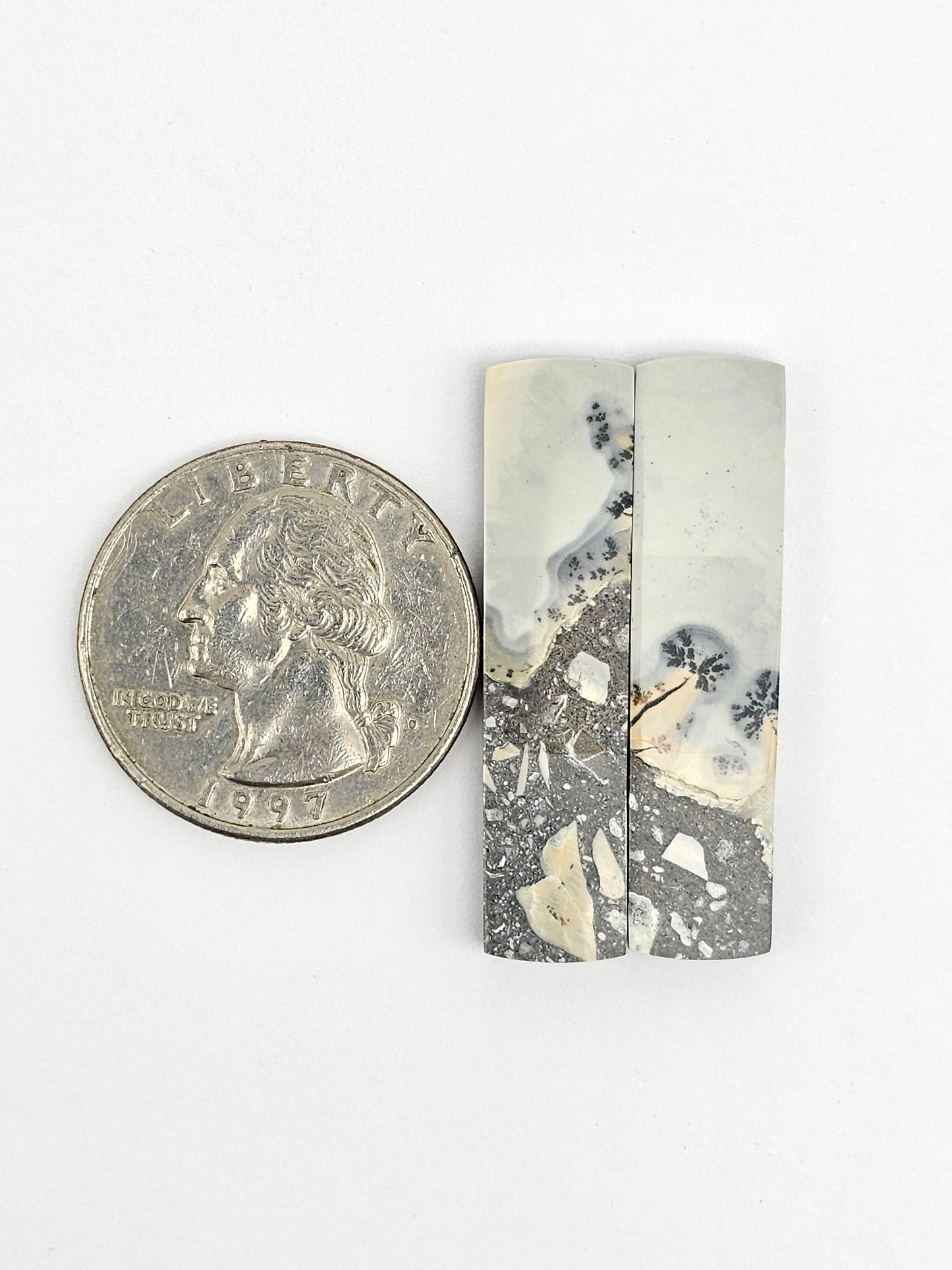 Maligano Jasper Cabochon Pair