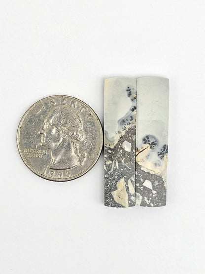 Maligano Jasper Cabochon Pair