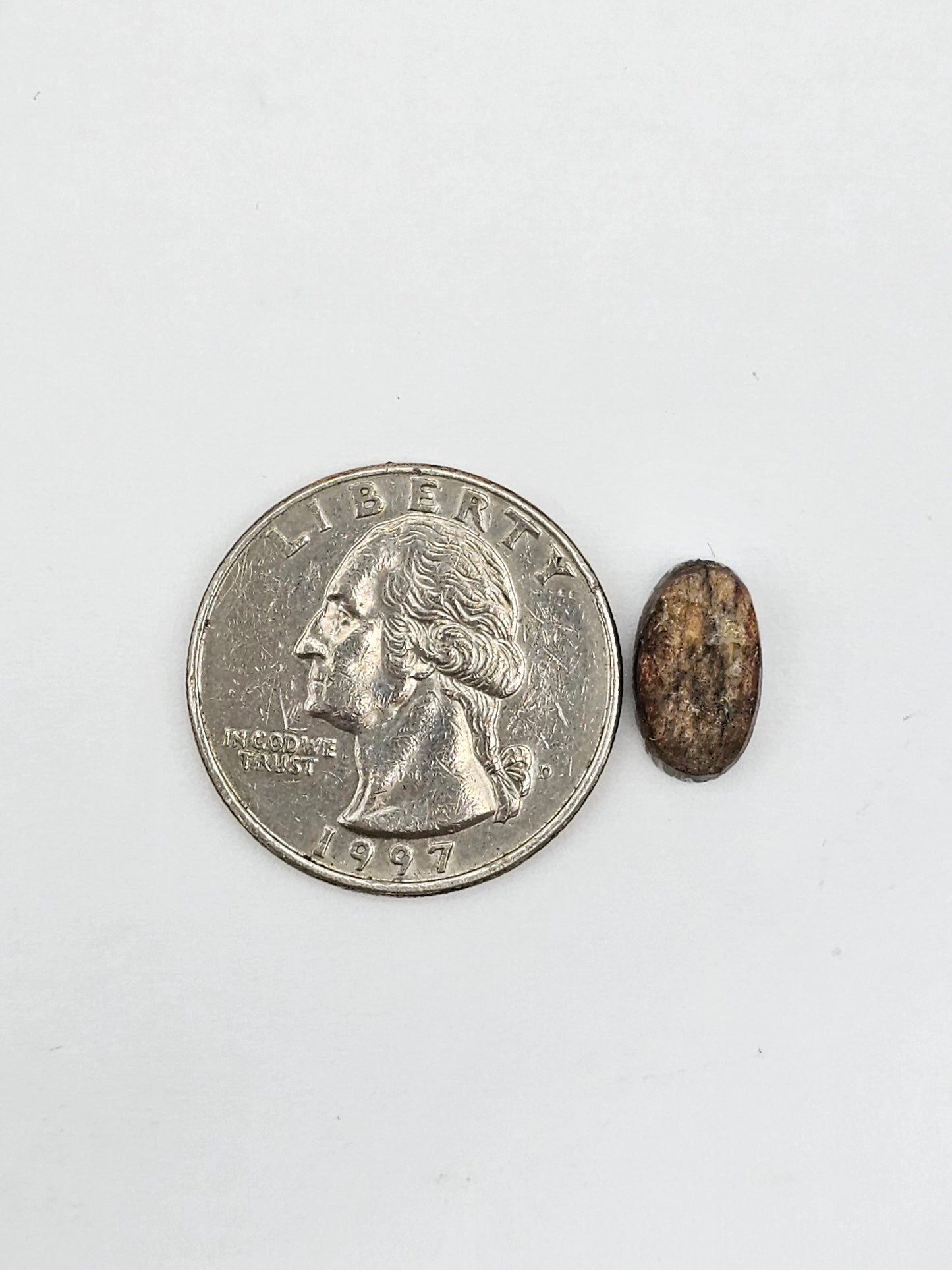 Snake skin agate cabochon