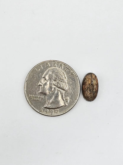 Snake skin agate cabochon