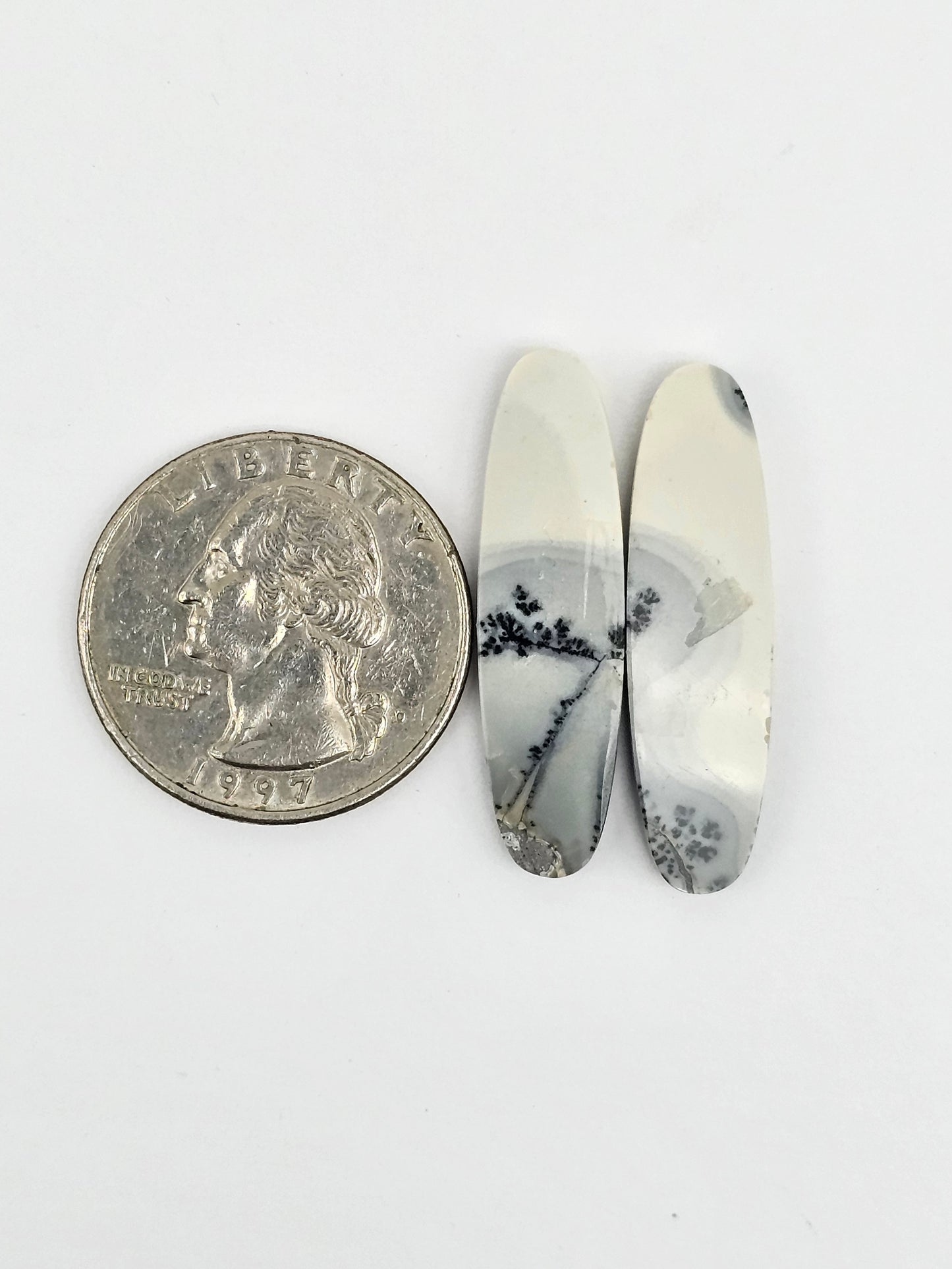 Maligano Jasper Cabochon Pair