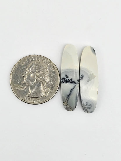 Maligano Jasper Cabochon Pair