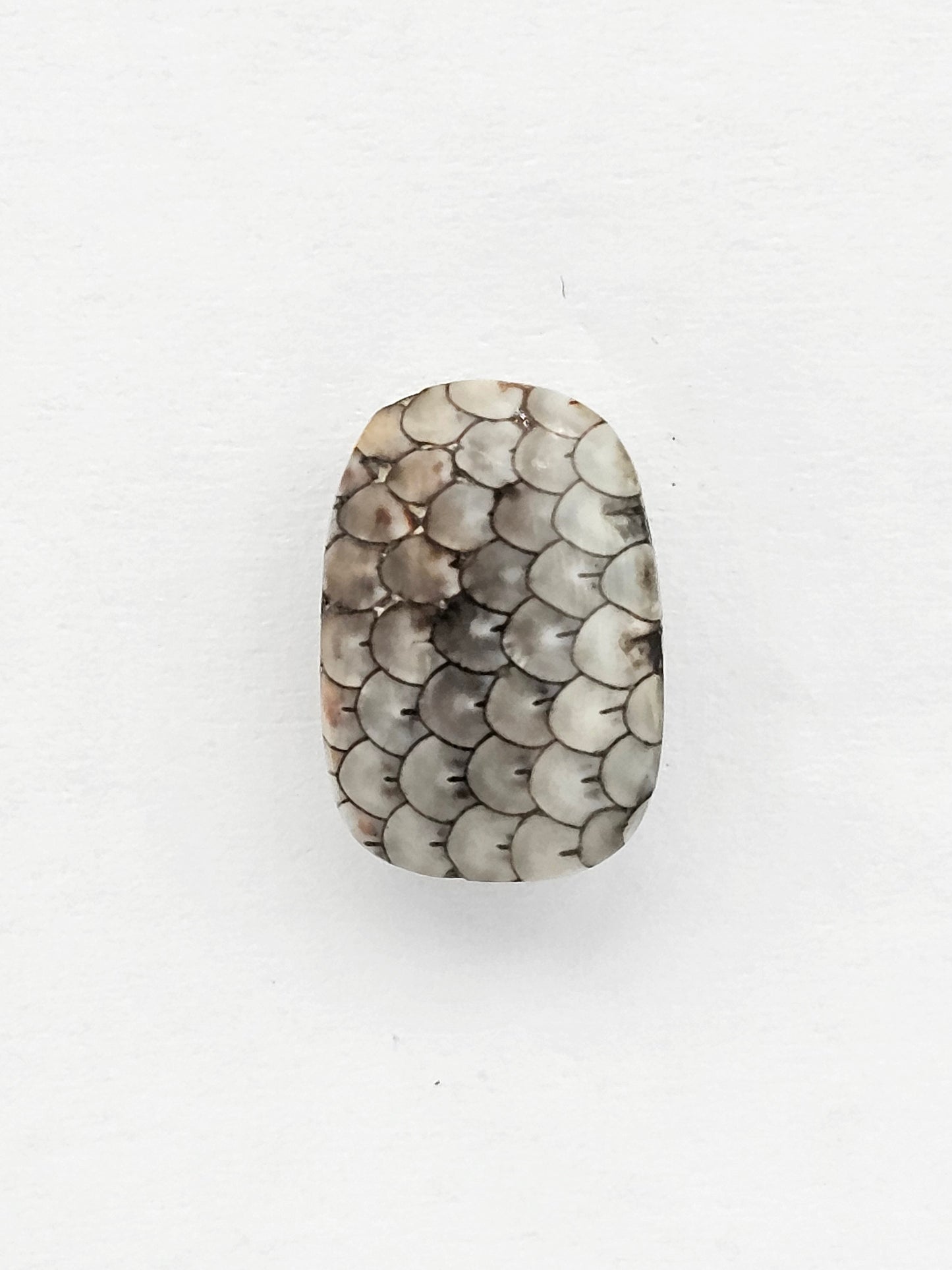 Snake skin agate cabochon