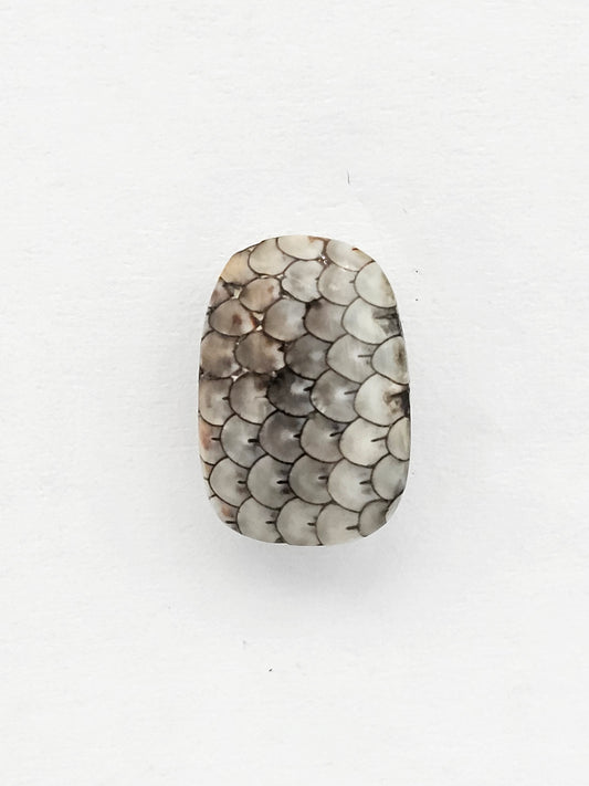 Snake skin agate cabochon