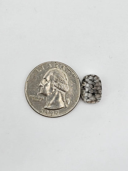 Snake skin agate cabochon