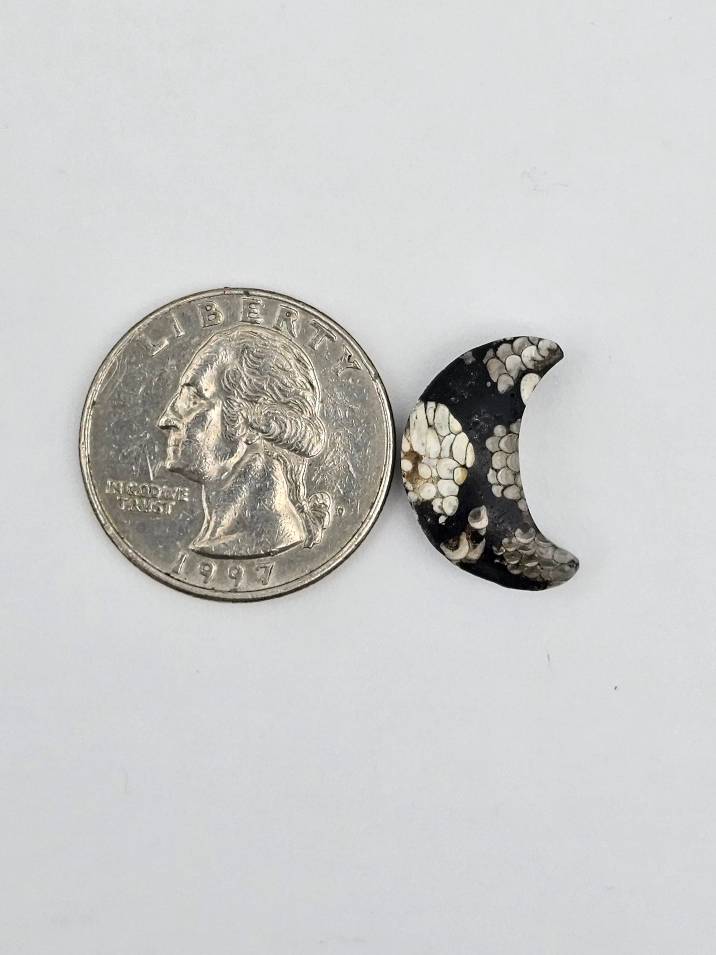Snake skin agate moon cabochon
