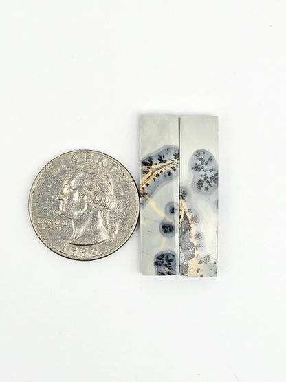 Maligano Jasper Cabochon Pair