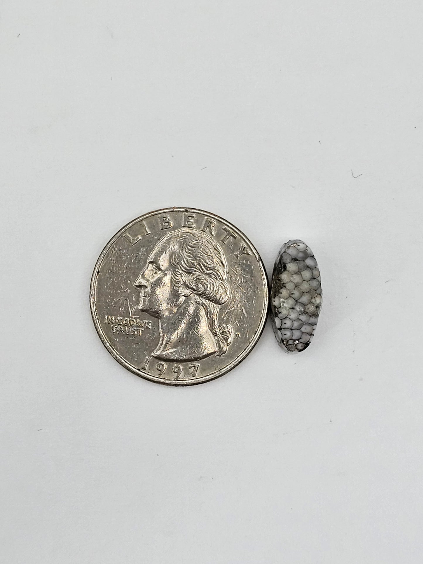 Snake skin agate cabochon