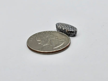 Snake skin agate cabochon