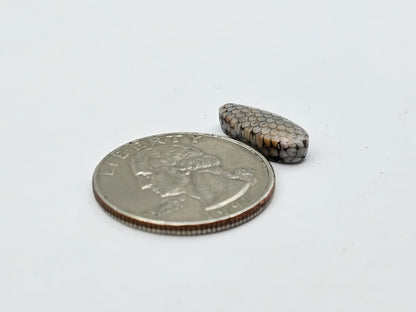 Snake skin agate cabochon