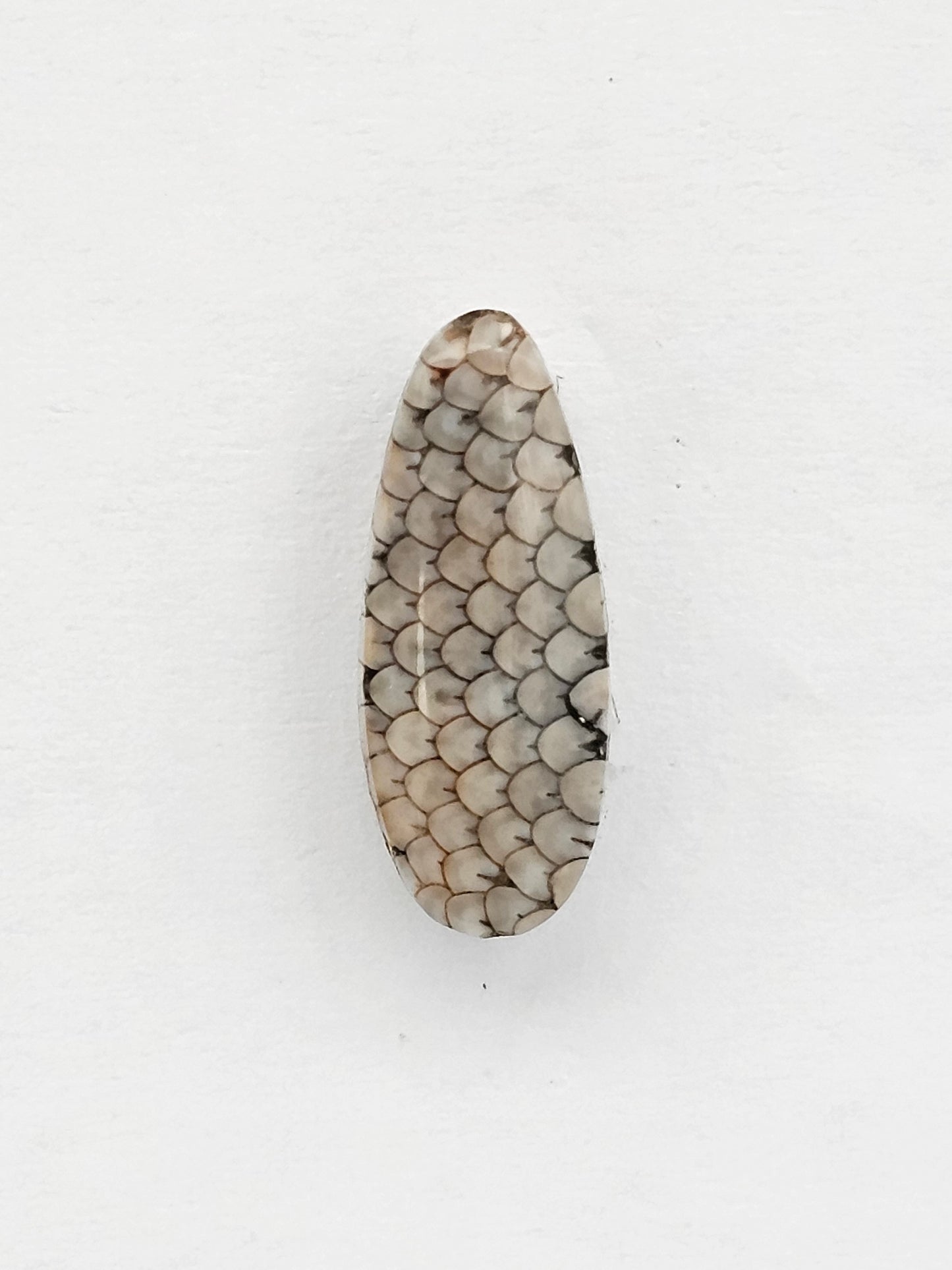 Snake skin agate cabochon
