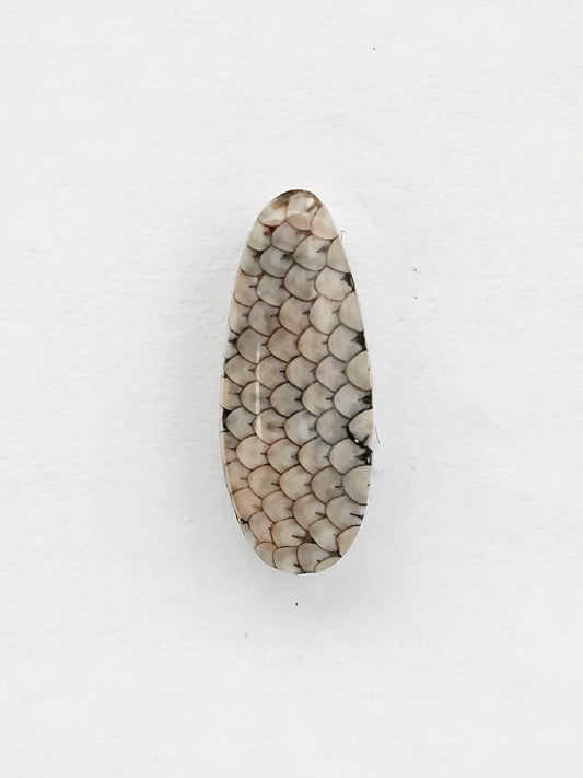Snake skin agate cabochon