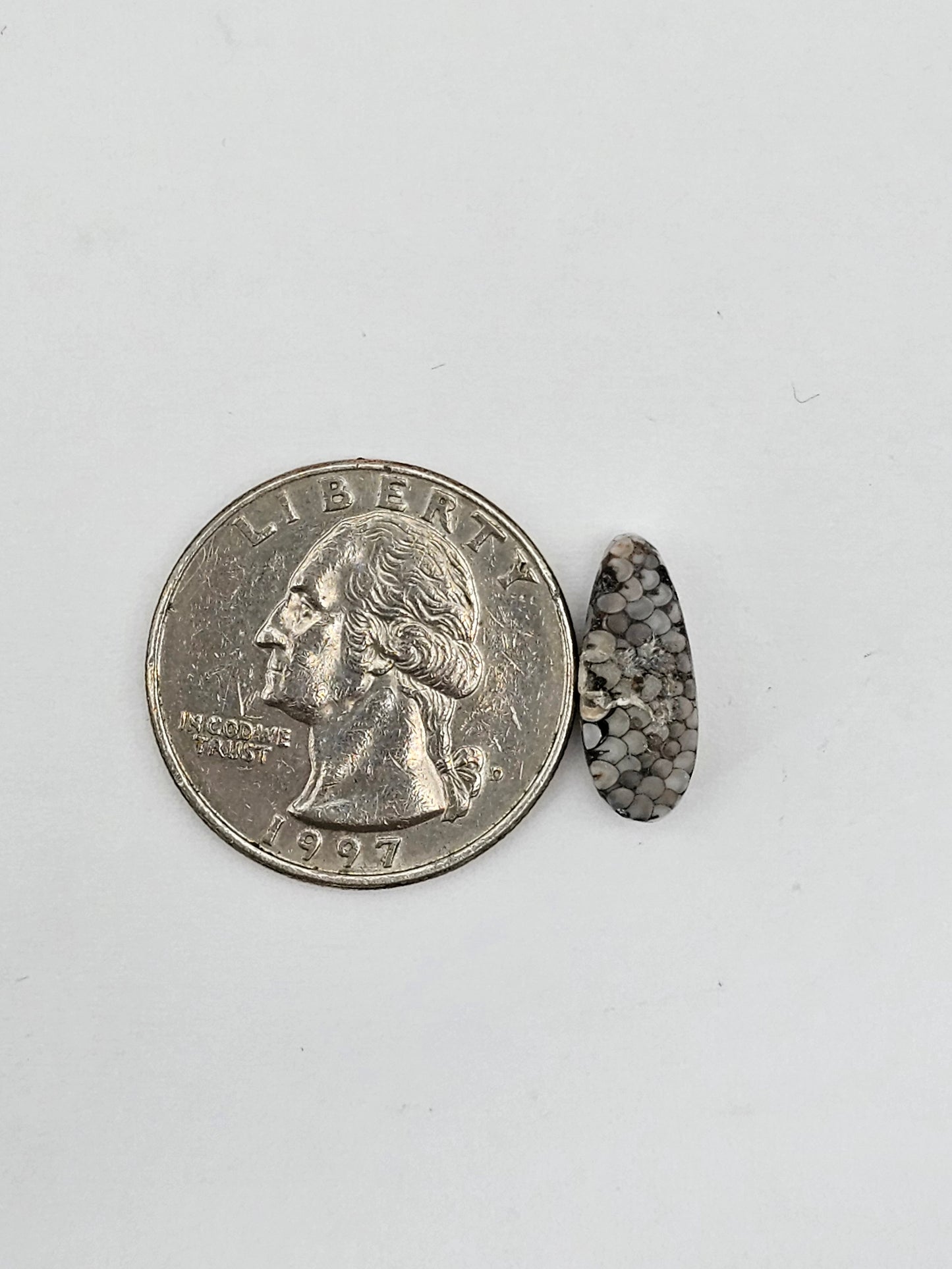Snake skin agate cabochon