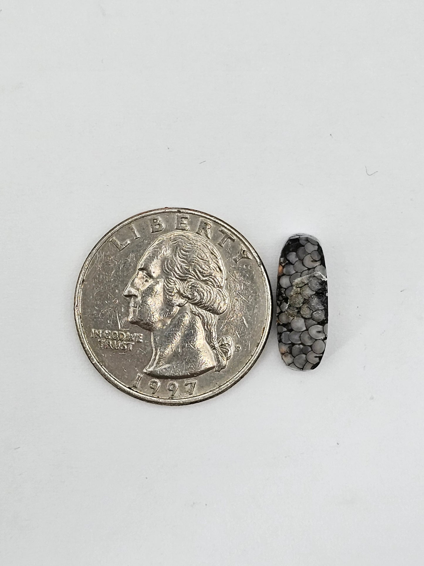 Snake skin agate cabochon
