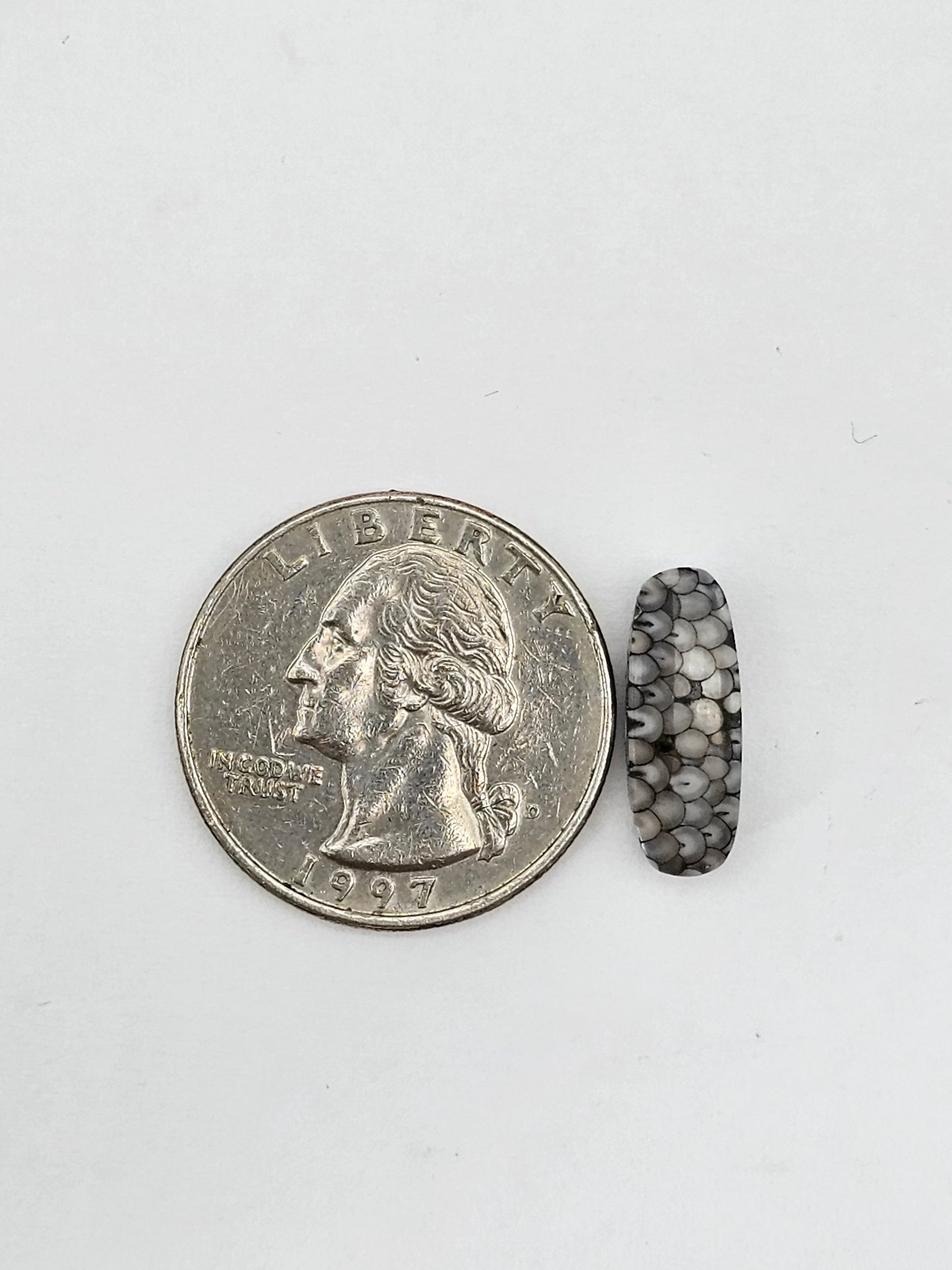 Snake skin agate cabochon