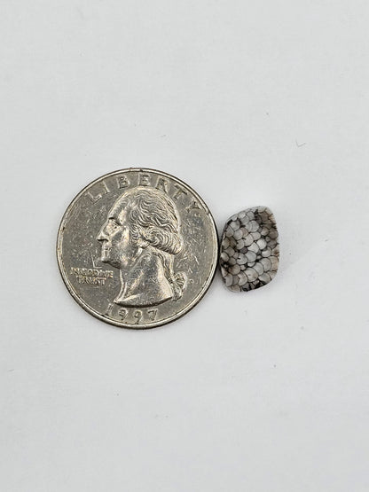 Snake skin agate cabochon