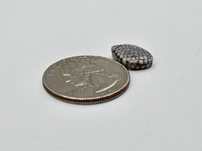 Snake skin agate cabochon