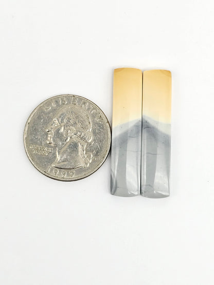 Maligano Jasper Cabochon Pair