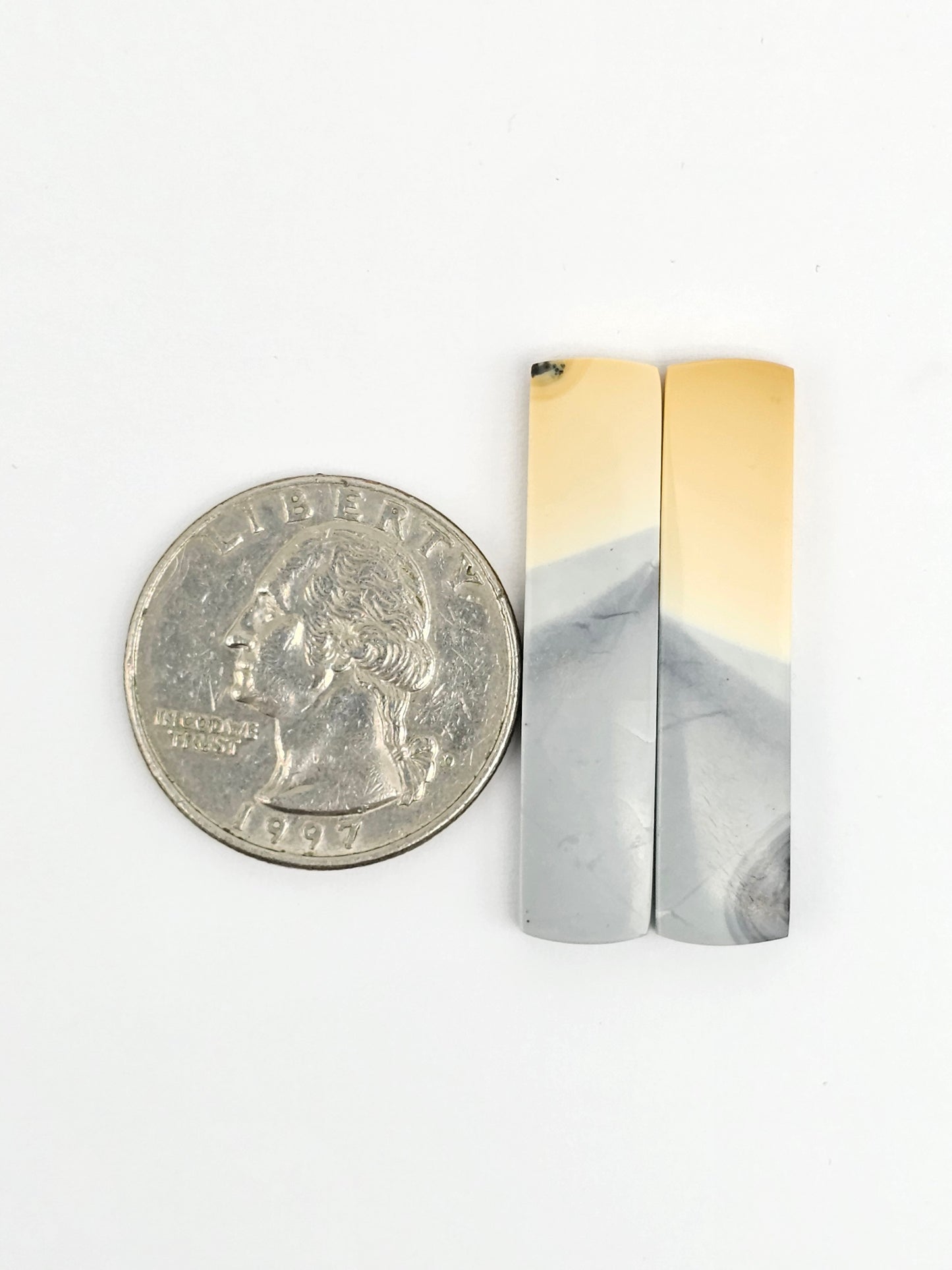 Maligano Jasper Cabochon Pair